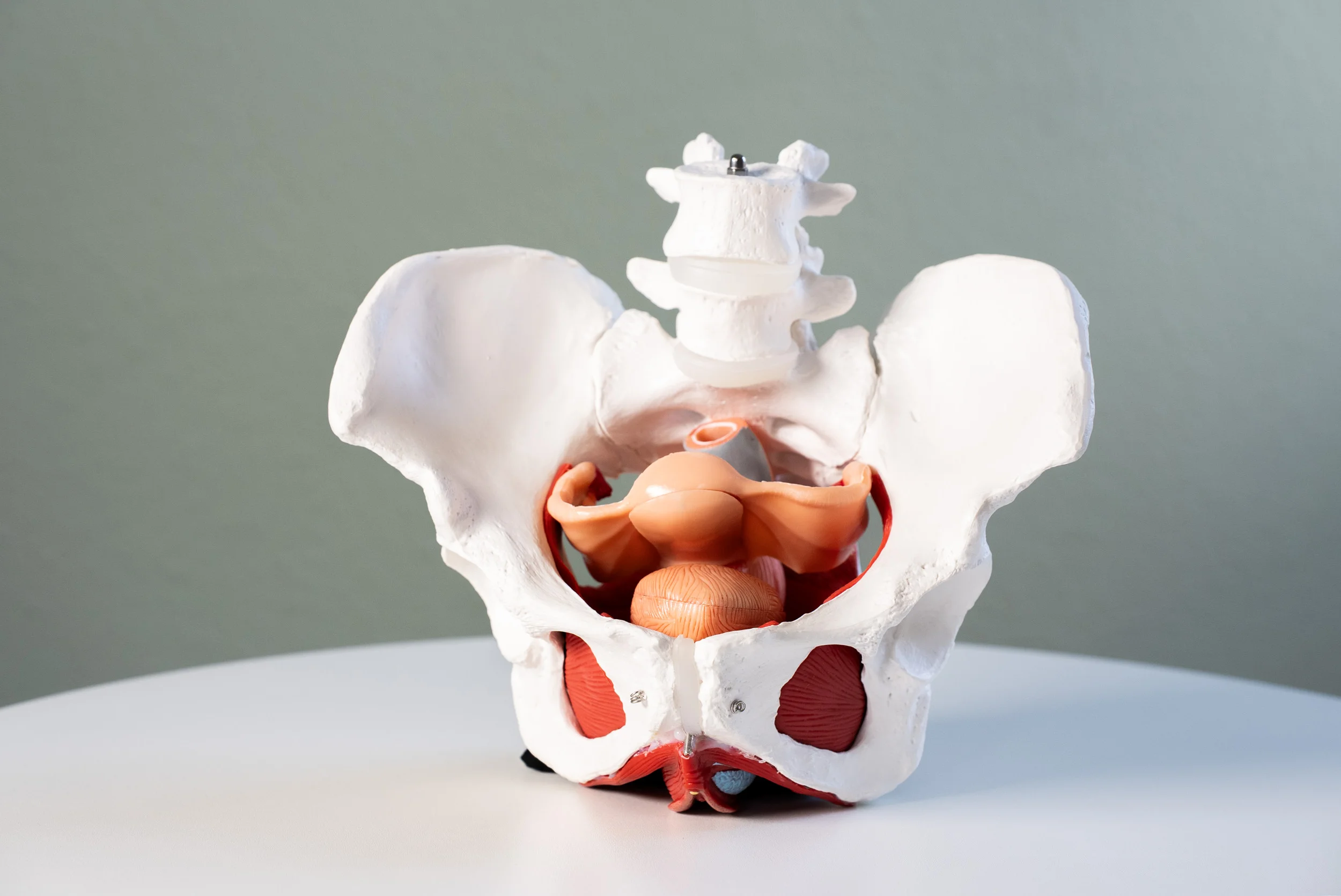 Beckenzeit by PHYSIOGRAF