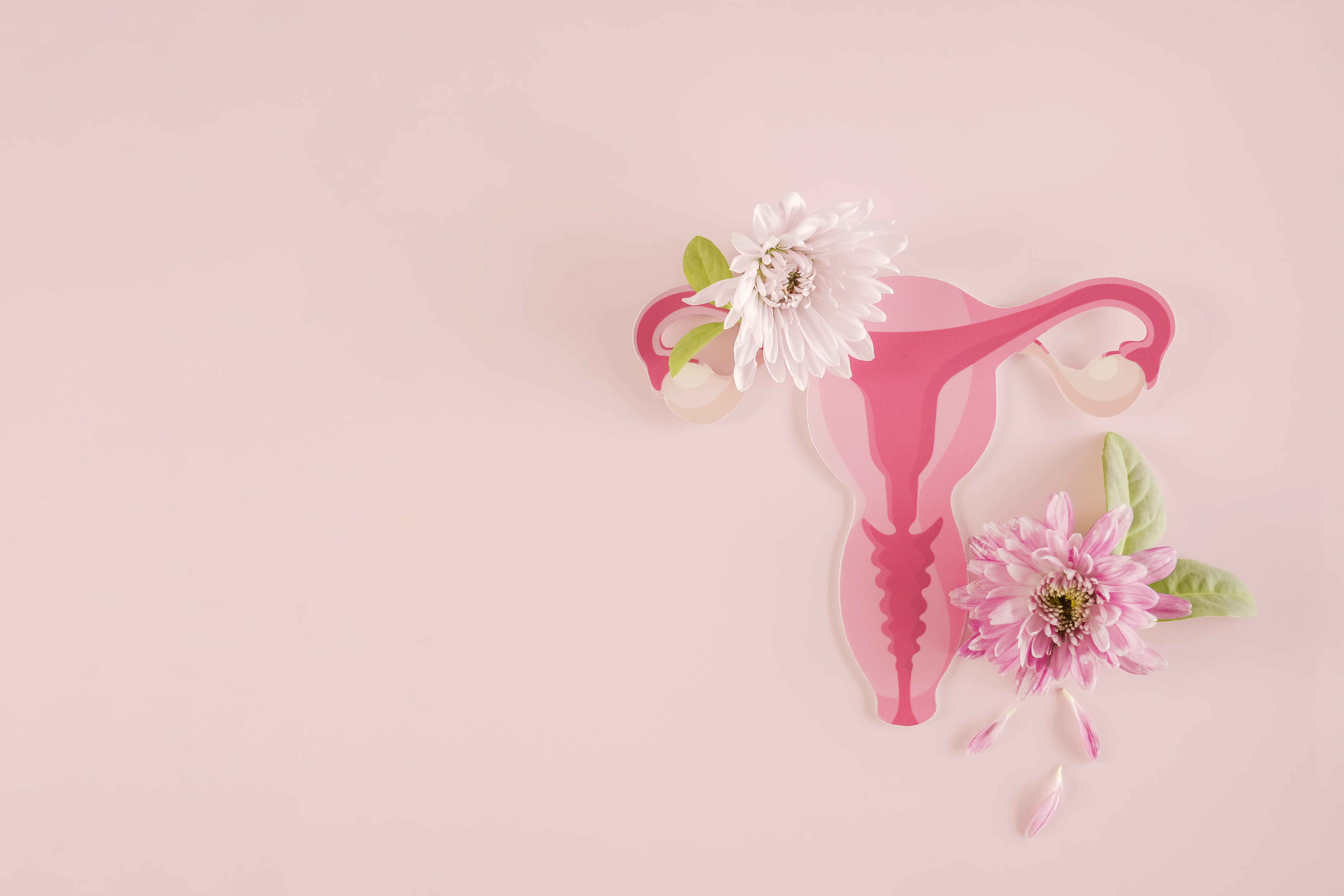 Beckenzeit by PHYSIOGRAF