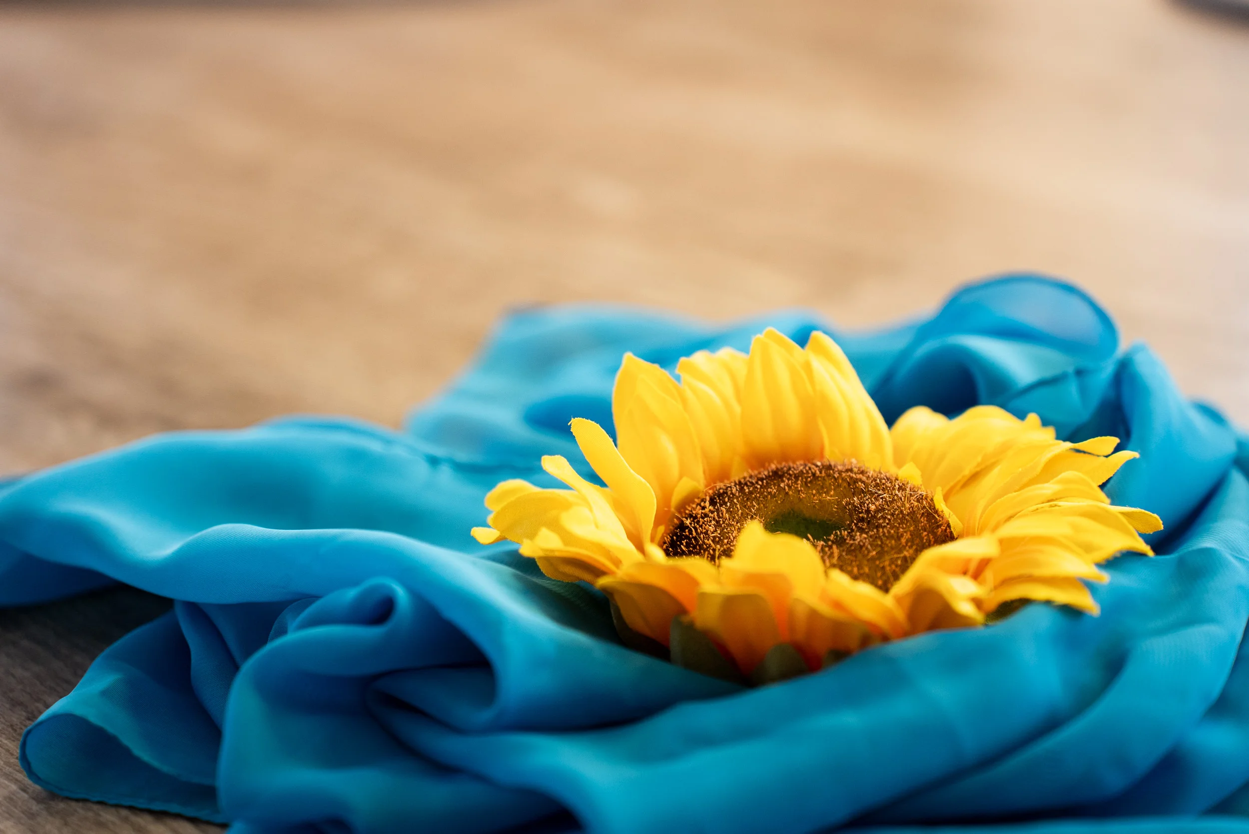 Beckenzeit by PHYSIOGRAF