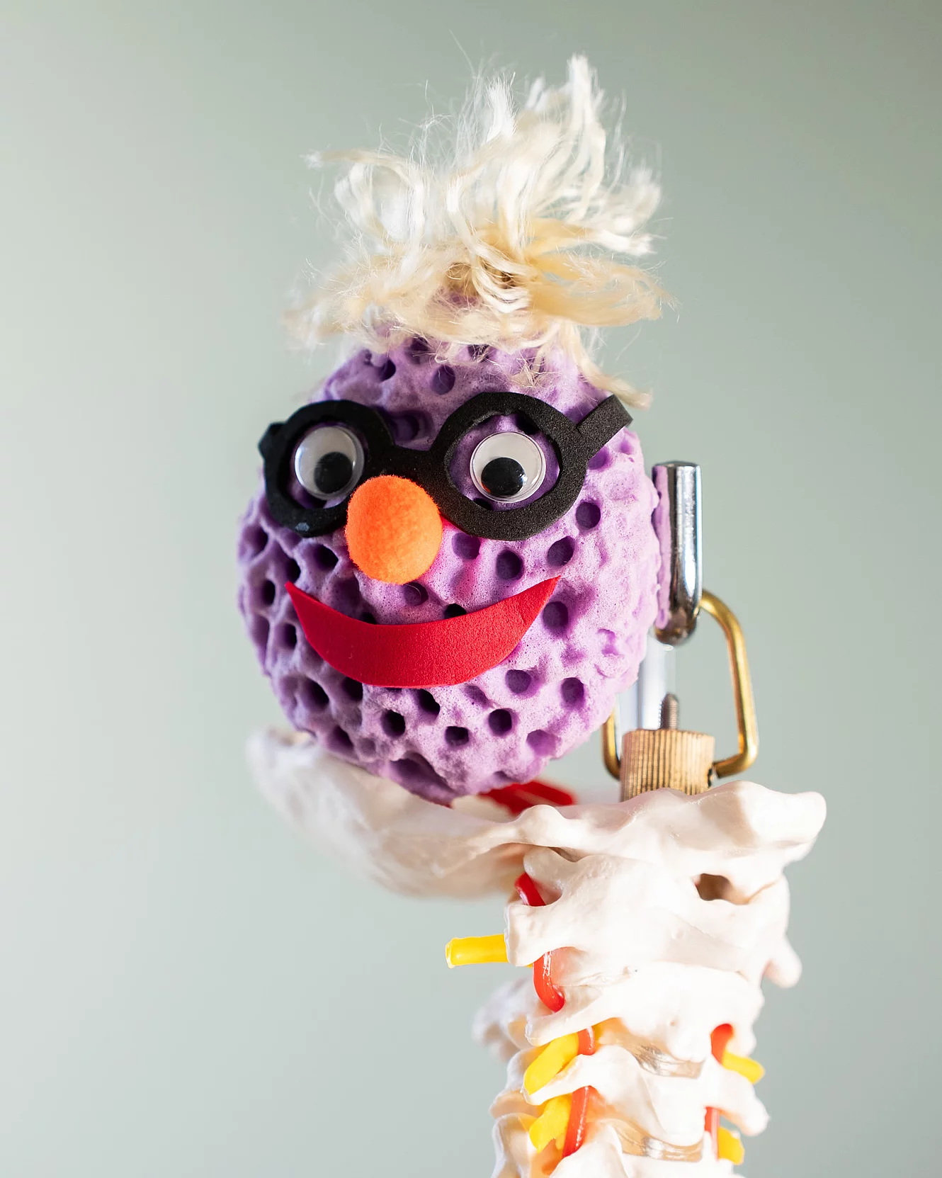 Beckenzeit by PHYSIOGRAF